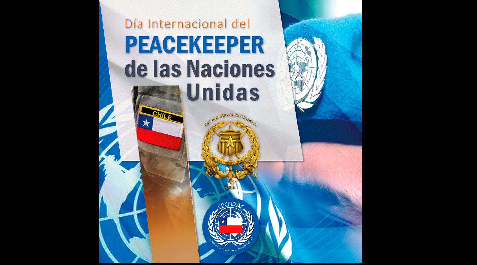 DÍA INTERNACIONAL DEL PERSONAL DE PAZ DE LAS NACIONES UNIDAS