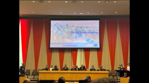 ONU CONMEMORA DÍA DEL PERSONAL DE PAZ Y RINDE HOMENAJE A TCL. RAÚL JIMÉNEZ MIRANDA